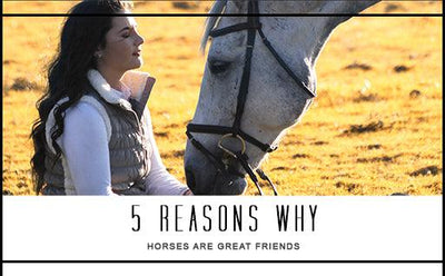 5 Reasons Why Horses are Great Friends