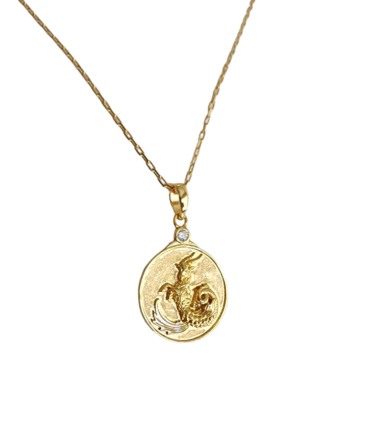 Zodiac Capricorn Necklace