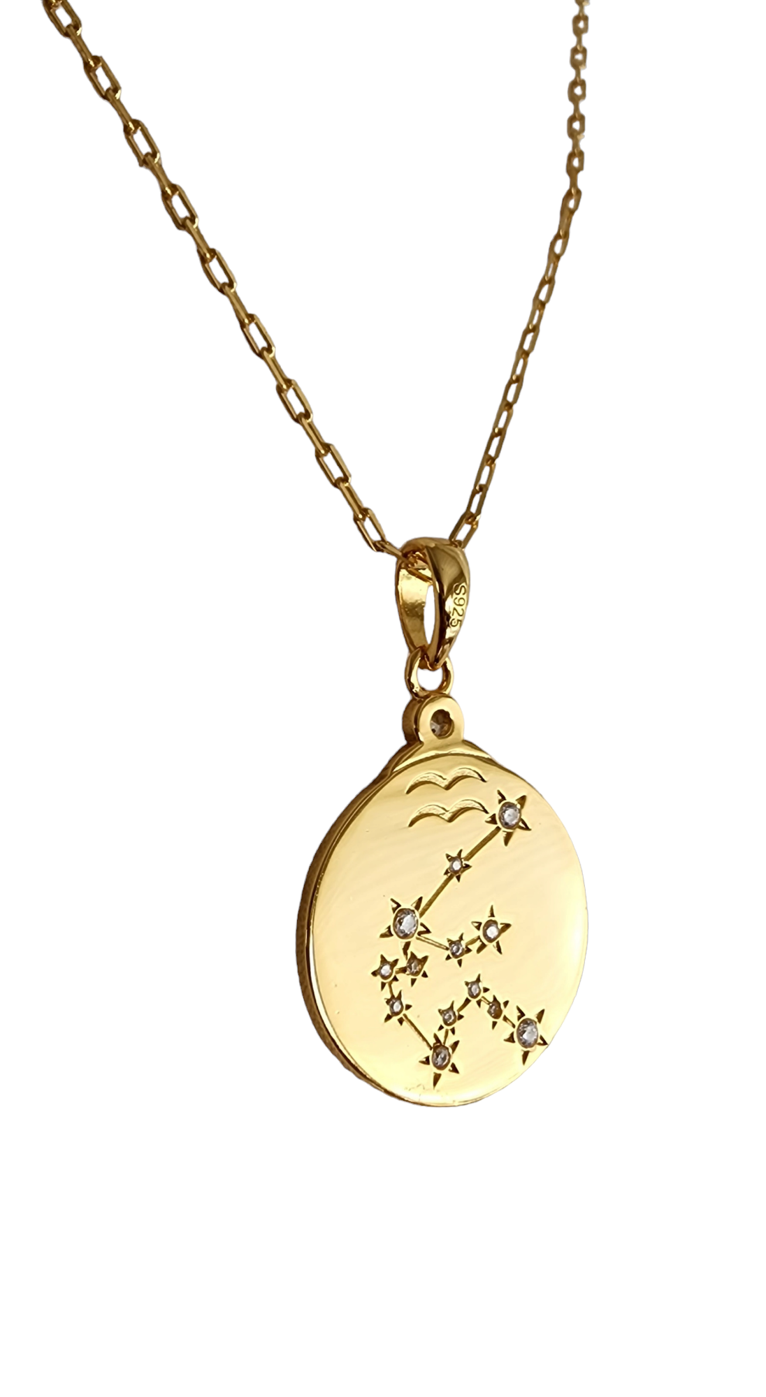 Zodiac Aquarius Necklace