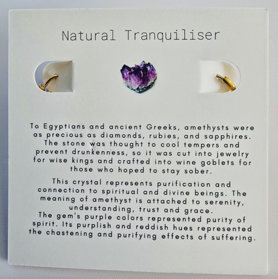 Raw Natural Gemstone Nugget Birthstone Earrings - February