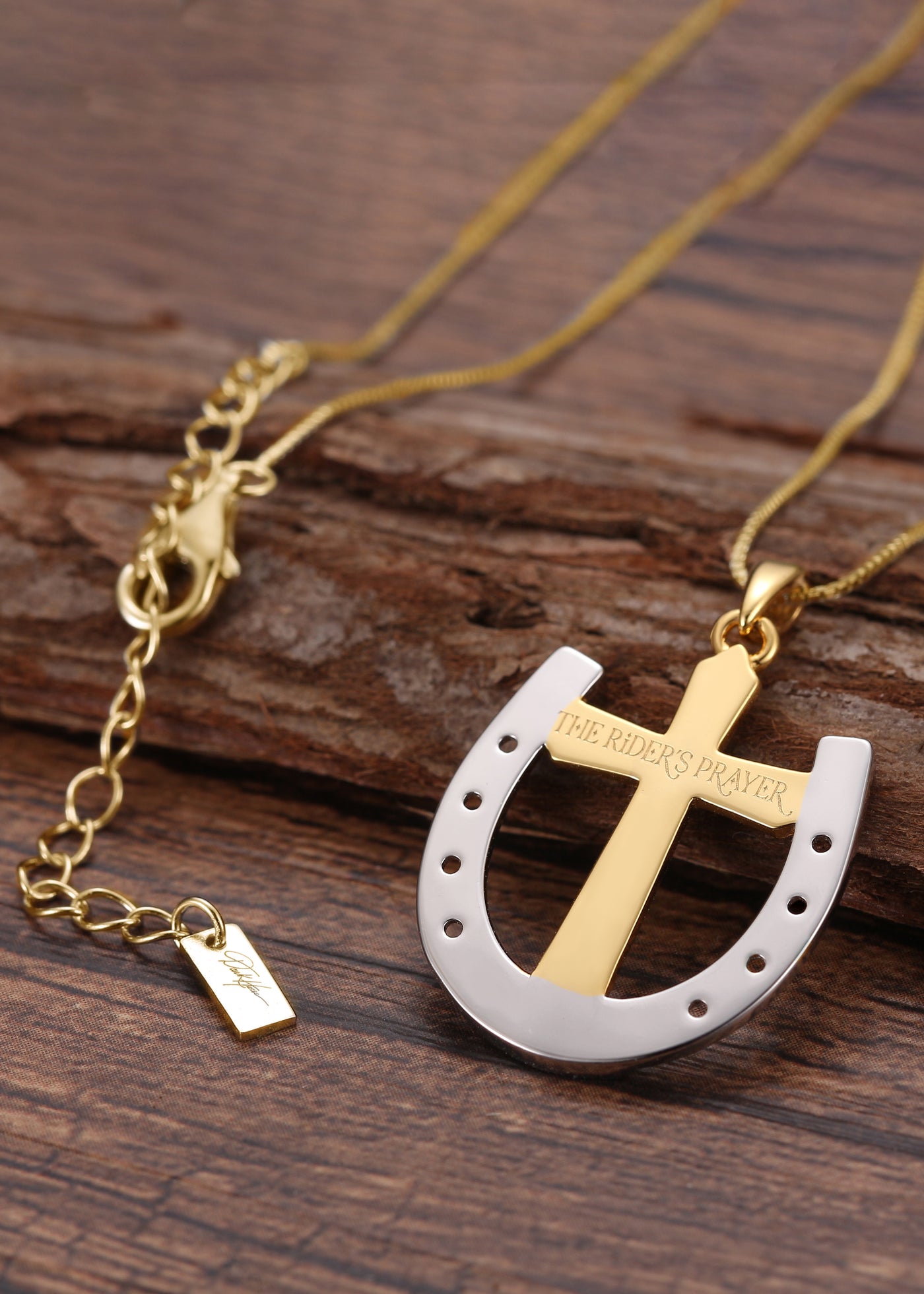 Dark Horse Rider's Prayer Necklace on Gold Box Chain